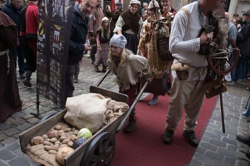 64-2025-10-18 Zotte zaterdag X-T50 dng 3328